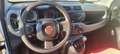 Fiat Panda 1.2 Easy 69cv E6  autocaro Weiß - thumbnail 13