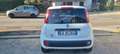 Fiat Panda 1.2 Easy 69cv E6  autocaro Weiß - thumbnail 5