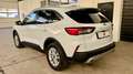 Ford Kuga Hybrid*2,5* Titanium X*Aut Weiß - thumbnail 4