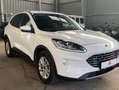 Ford Kuga Hybrid*2,5* Titanium X*Aut Weiß - thumbnail 14