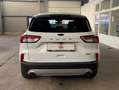 Ford Kuga Hybrid*2,5* Titanium X*Aut Weiß - thumbnail 16