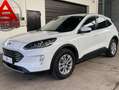 Ford Kuga Hybrid*2,5* Titanium X*Aut Weiß - thumbnail 1