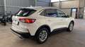 Ford Kuga Hybrid*2,5* Titanium X*Aut Weiß - thumbnail 15
