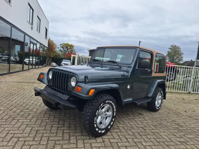 Jeep Wrangler Wrangler 4.0 Lichte vracht!