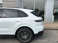 Porsche Cayenne 3.0 V6 440 ch Tiptronic BVA S Wit - thumbnail 39