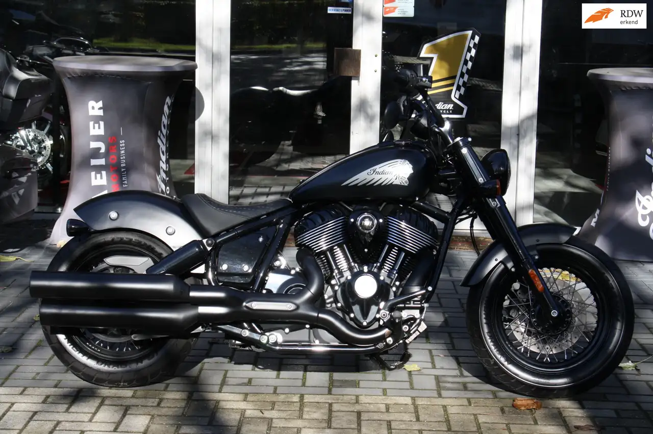 Indian Chief
