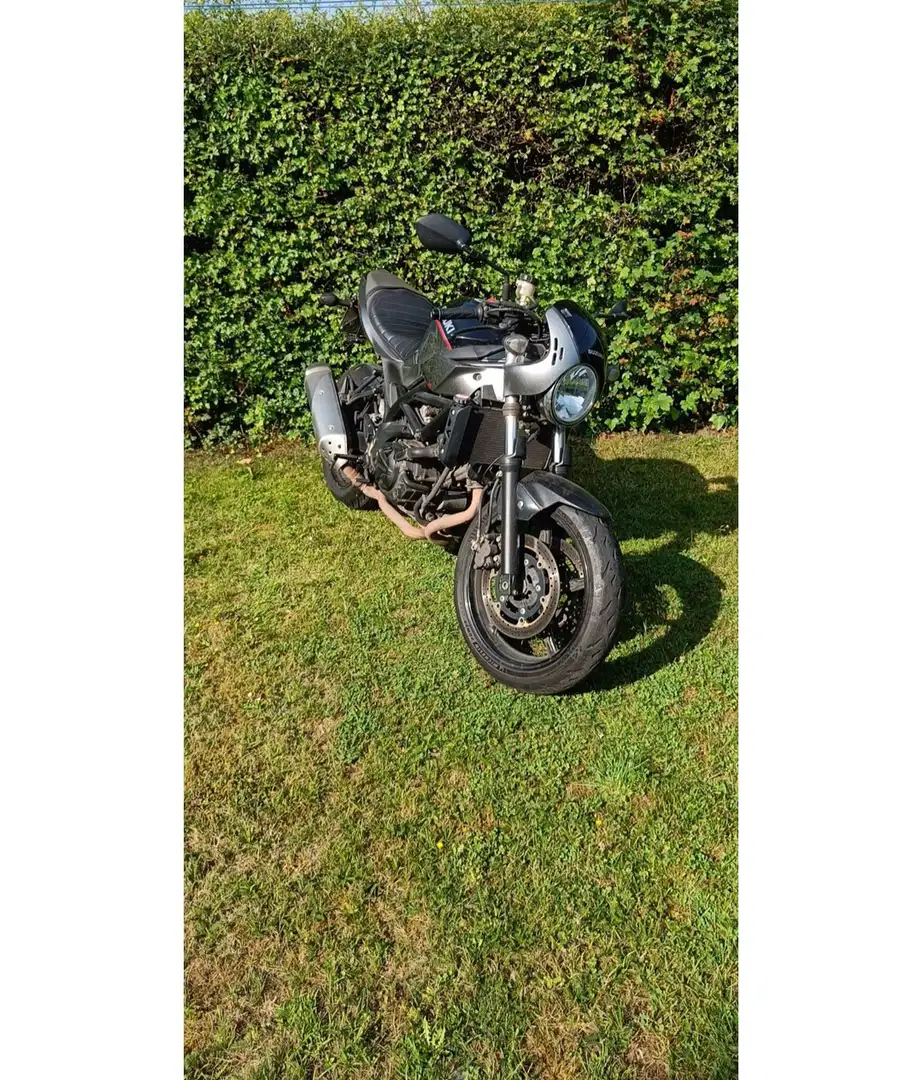 Suzuki SV 650 X Gris - 1