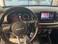 Kia Stonic Stonic 1.0 T-GDi 100 CV MHEV iMT Style Gris - thumbnail 12