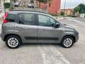 Fiat Panda Panda 1.2 Lounge easypower Gpl 69cv my19 Gris - thumbnail 7