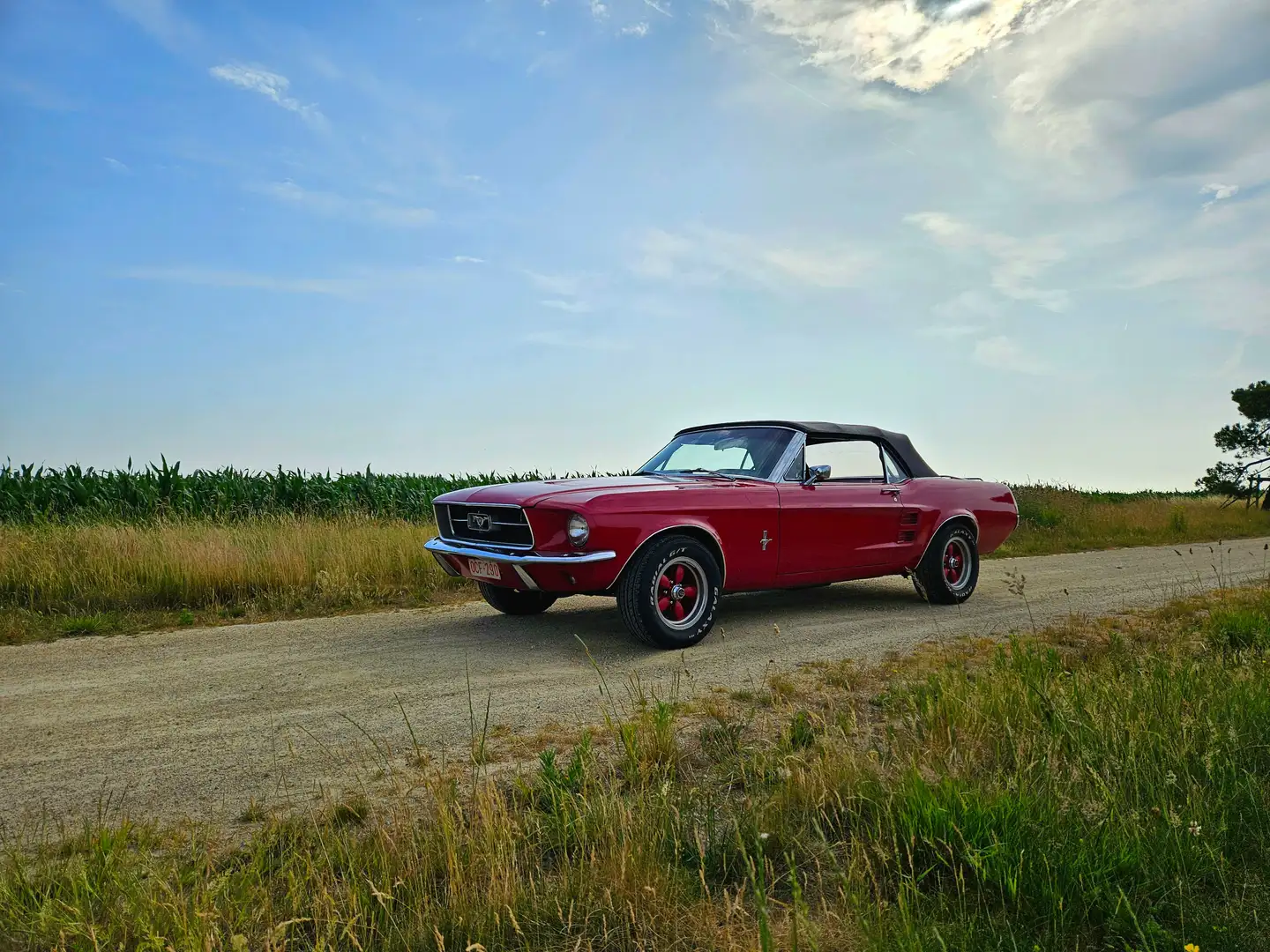 Ford Mustang 1967 Cabrio V8 289cu Rouge - 1