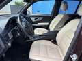 Mercedes-Benz GLK 220 220CDI BE Limited Edition 4M 17´´ Aut. Marrón - thumbnail 10
