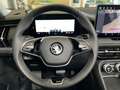 Skoda Kodiaq TDI 4x4 ACC Leder Pano Matrix 5JG AHK 7 Grijs - thumbnail 11