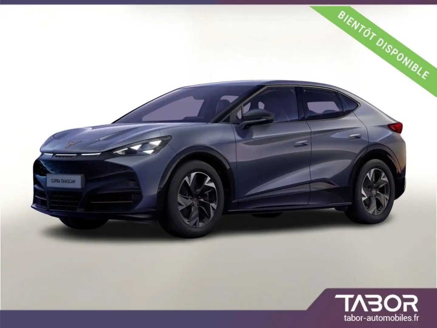 CUPRA Tavascan Endurance 77 kWh GPS cam Albastru - 1