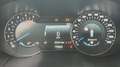 Ford Galaxy Galaxy 2.0 EcoBlue Bi-Turbo Aut.Titanium Gris - thumbnail 9