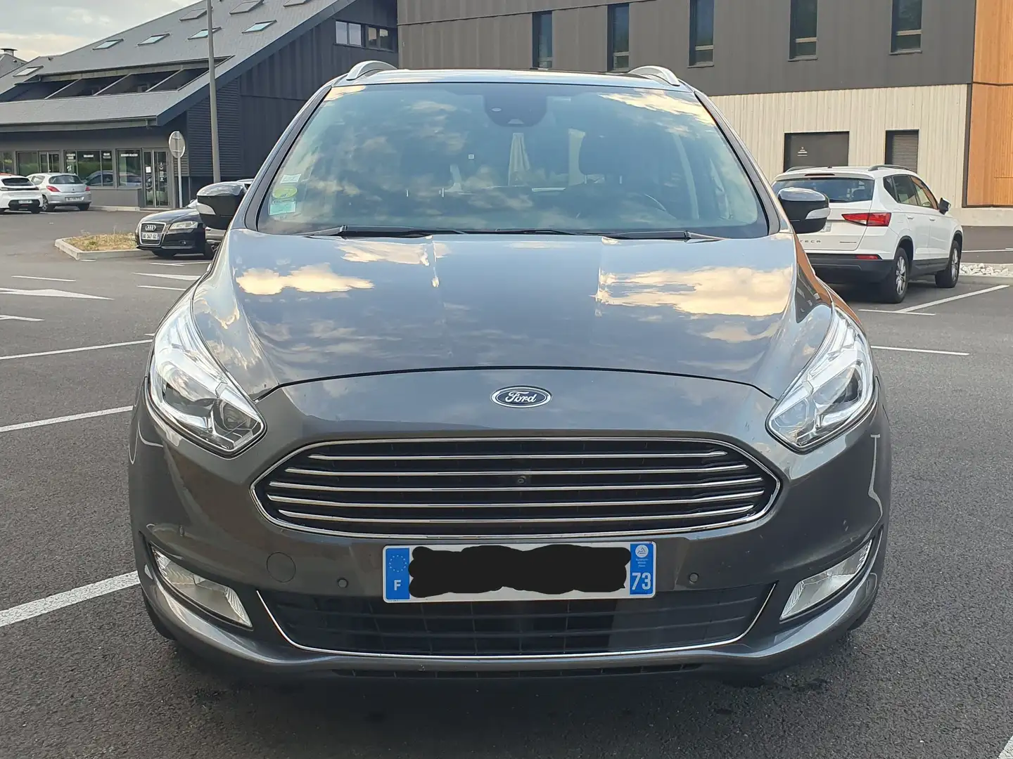 Ford Galaxy Galaxy 2.0 EcoBlue Bi-Turbo Aut.Titanium Gris - 2
