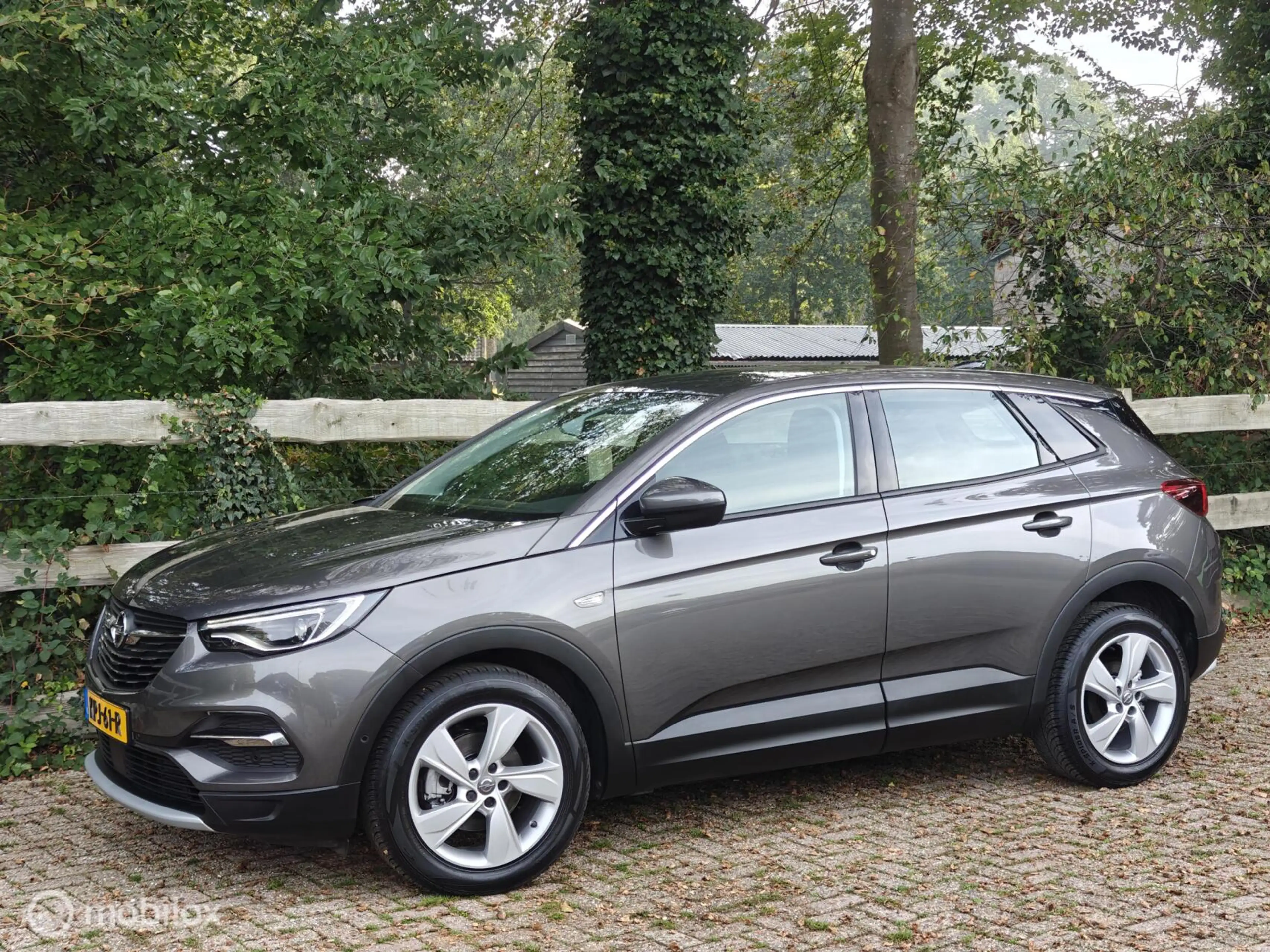 Opel Grandland X 1.2 Turbo Ultimate — photo 2