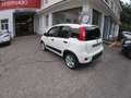 Fiat Panda Panda III 2021 1.0 firefly hybrid City Life s Wit - thumbnail 6