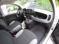 Fiat Panda Panda III 2021 1.0 firefly hybrid City Life s Wit - thumbnail 3