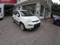 Fiat Panda Panda III 2021 1.0 firefly hybrid City Life s Wit - thumbnail 1