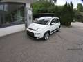 Fiat Panda Panda III 2021 1.0 firefly hybrid City Life s Wit - thumbnail 5