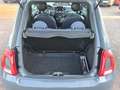 Fiat 500 1.0 Mild Hybrid Cult *SHZ*Allwetter* Grau - thumbnail 12
