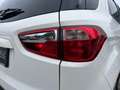 Ford EcoSport 1,0 EcoBoost Titanium l SHZ l 8Fach l Weiß - thumbnail 11