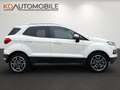 Ford EcoSport 1,0 EcoBoost Titanium l SHZ l 8Fach l Weiß - thumbnail 3
