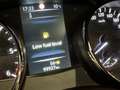 Nissan Qashqai Qashqai II 1.5 dci N-Vision 110cv #TETTO#KEYLESS Grau - thumbnail 14