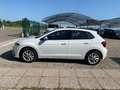 Volkswagen Polo 1.0 TSI 110 CV DSG Style Bianco - thumbnail 8