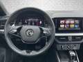 Skoda Kamiq 1.0 TSI DSG Ambition Spur RFK Pano Einpark Grau - thumbnail 14