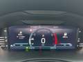 Skoda Kamiq 1.0 TSI DSG Ambition Spur RFK Pano Einpark Grau - thumbnail 11