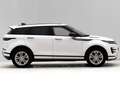 Land Rover Range Rover Evoque 2.0D I4 MHEV R-Dynamic SE AWD Aut. 163 Blanco - thumbnail 6