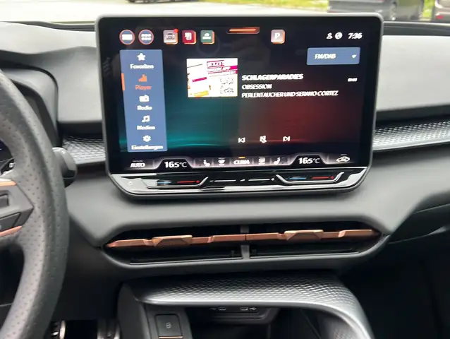 Cupra Terramar view 13