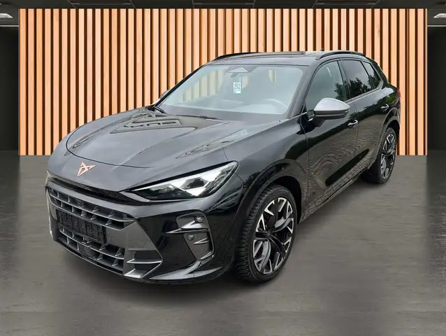 Cupra Terramar view 2