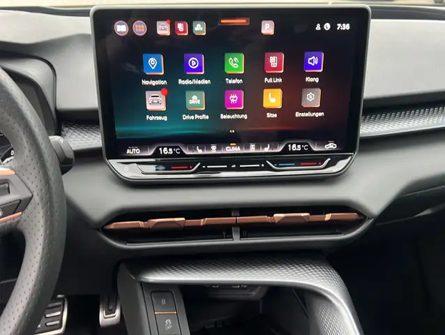 Cupra Terramar view 12