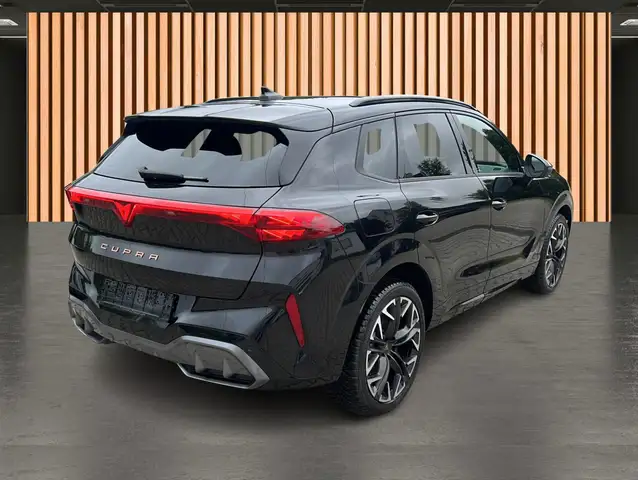 Cupra Terramar view 6