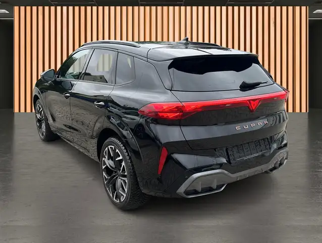 Cupra Terramar view 14