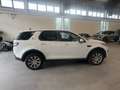 Land Rover Discovery Sport 2.0 td4 SE awd 150cv auto Bianco - thumbnail 4