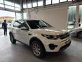Land Rover Discovery Sport 2.0 td4 SE awd 150cv auto Bianco - thumbnail 3