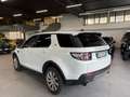 Land Rover Discovery Sport 2.0 td4 SE awd 150cv auto Bianco - thumbnail 5