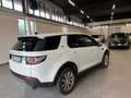 Land Rover Discovery Sport 2.0 td4 SE awd 150cv auto Bianco - thumbnail 7