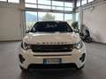 Land Rover Discovery Sport 2.0 td4 SE awd 150cv auto Bianco - thumbnail 2