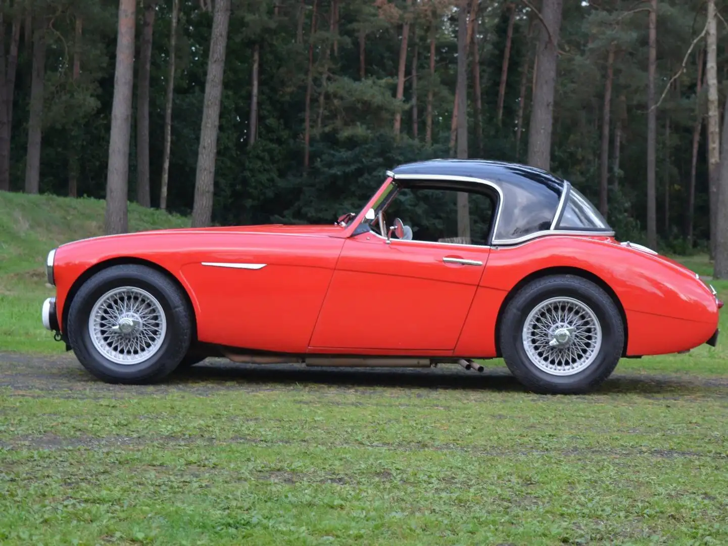 Austin Healey 100-6 Roşu - 1