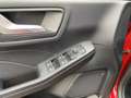 Ford Kuga 2.5 FHEV ST-Line X Kamera|ACC|Schiebedach Rot - thumbnail 14