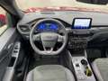 Ford Kuga 2.5 FHEV ST-Line X Kamera|ACC|Schiebedach Rot - thumbnail 23