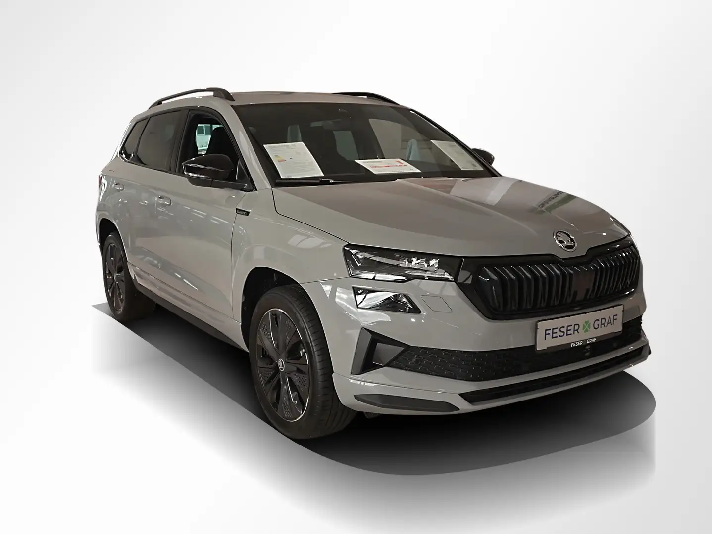 Skoda Karoq 1.5 TSI Sportline DSG AHK Navi RüKa Grau - 2