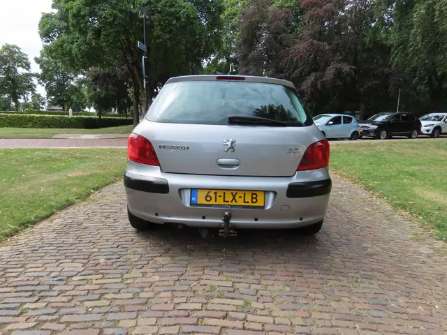 Peugeot 307 view 5