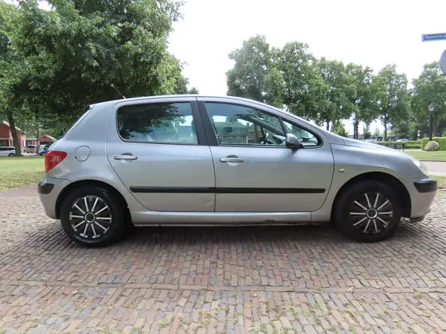 Peugeot 307 view 3