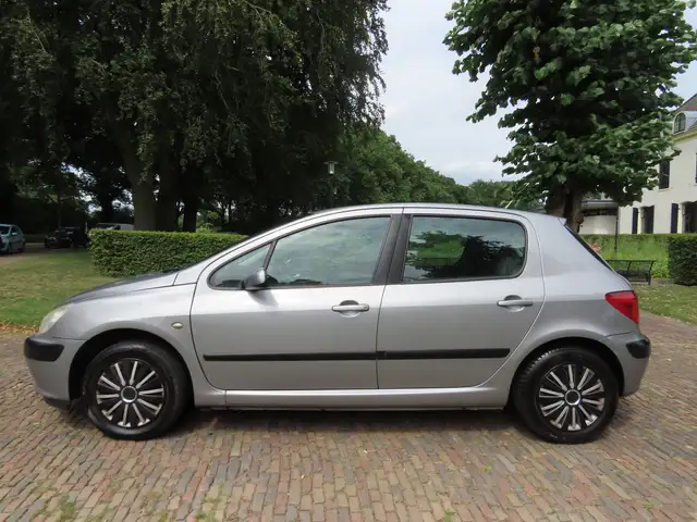 Peugeot 307 view 2