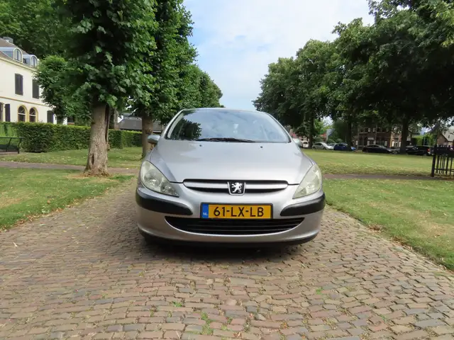 Peugeot 307 view 6